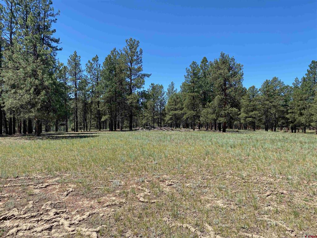 1001 County Road 200 Pagosa Springs CO 81147