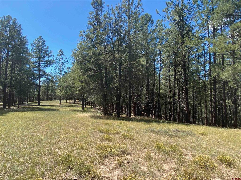 1001 County Road 200 Pagosa Springs CO 81147