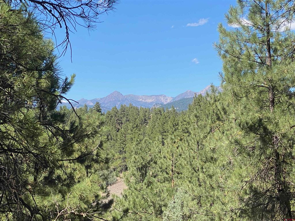 1001 County Road 200 Pagosa Springs CO 81147