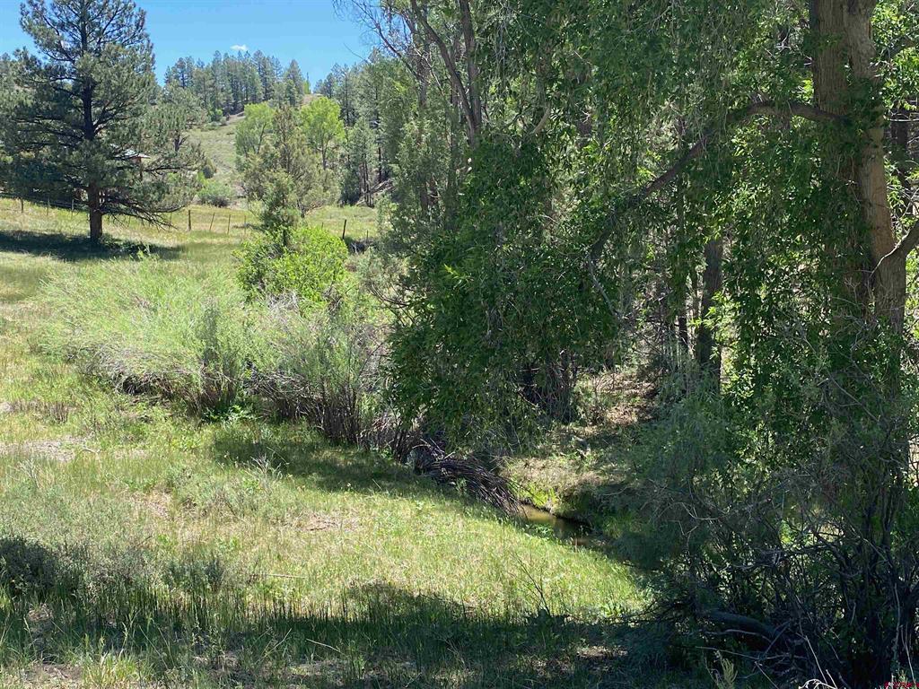 1001 County Road 200 Pagosa Springs CO 81147