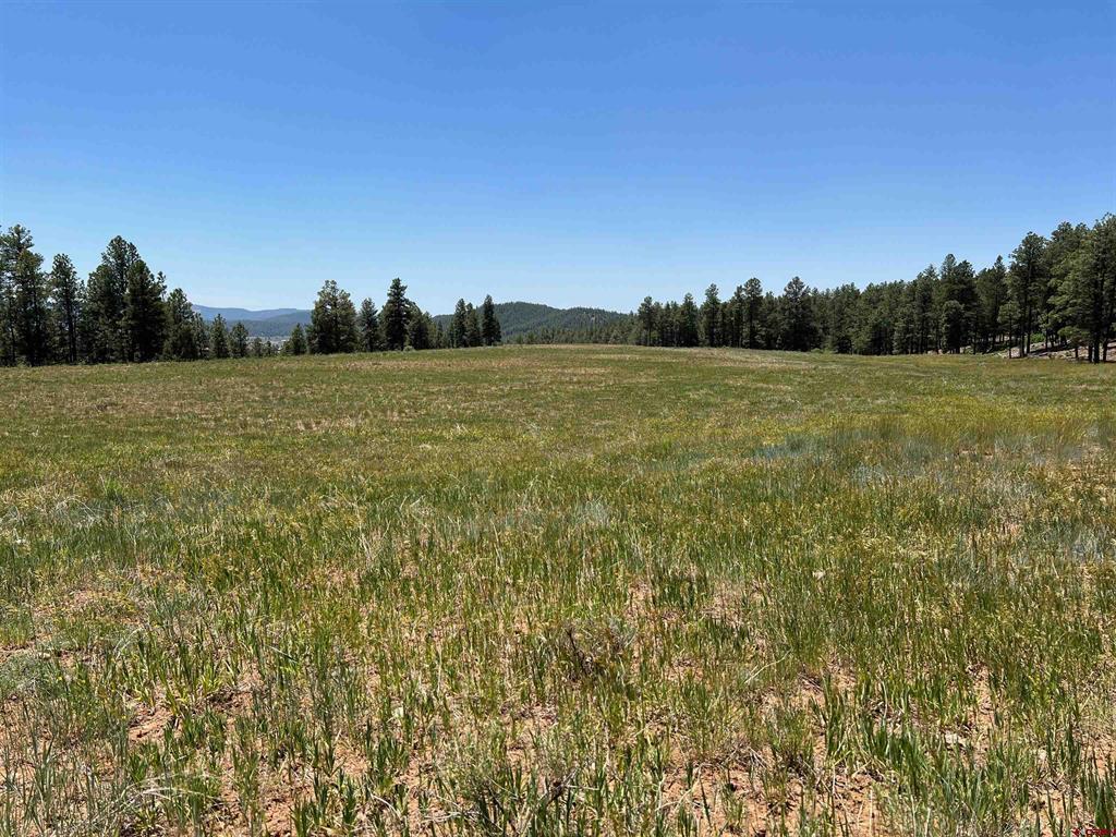 1001 County Road 200 Pagosa Springs CO 81147