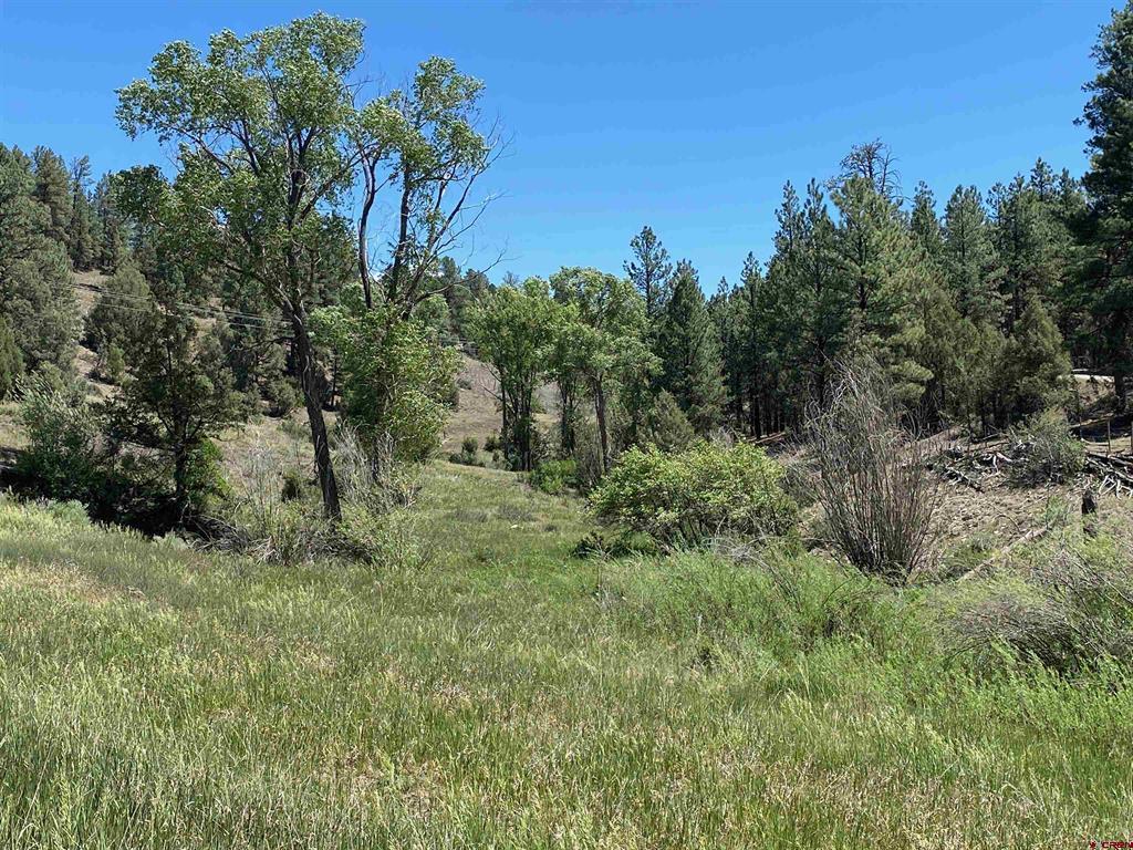 1001 County Road 200 Pagosa Springs CO 81147