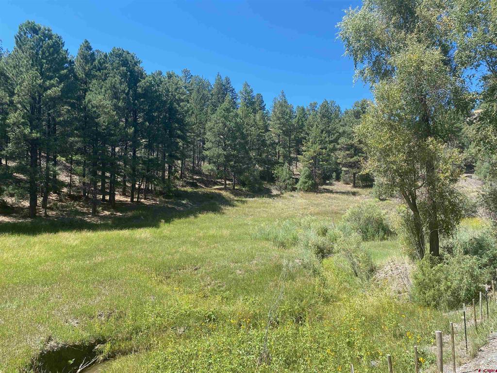 1001 County Road 200 Pagosa Springs CO 81147