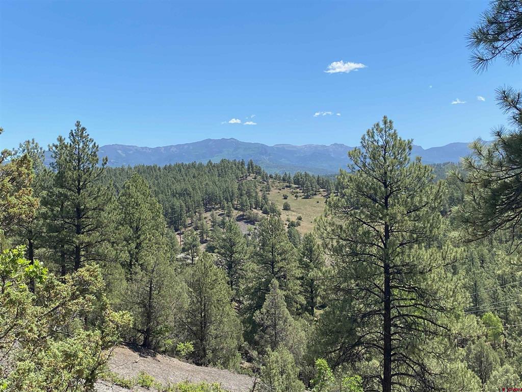 1001 County Road 200 Pagosa Springs CO 81147