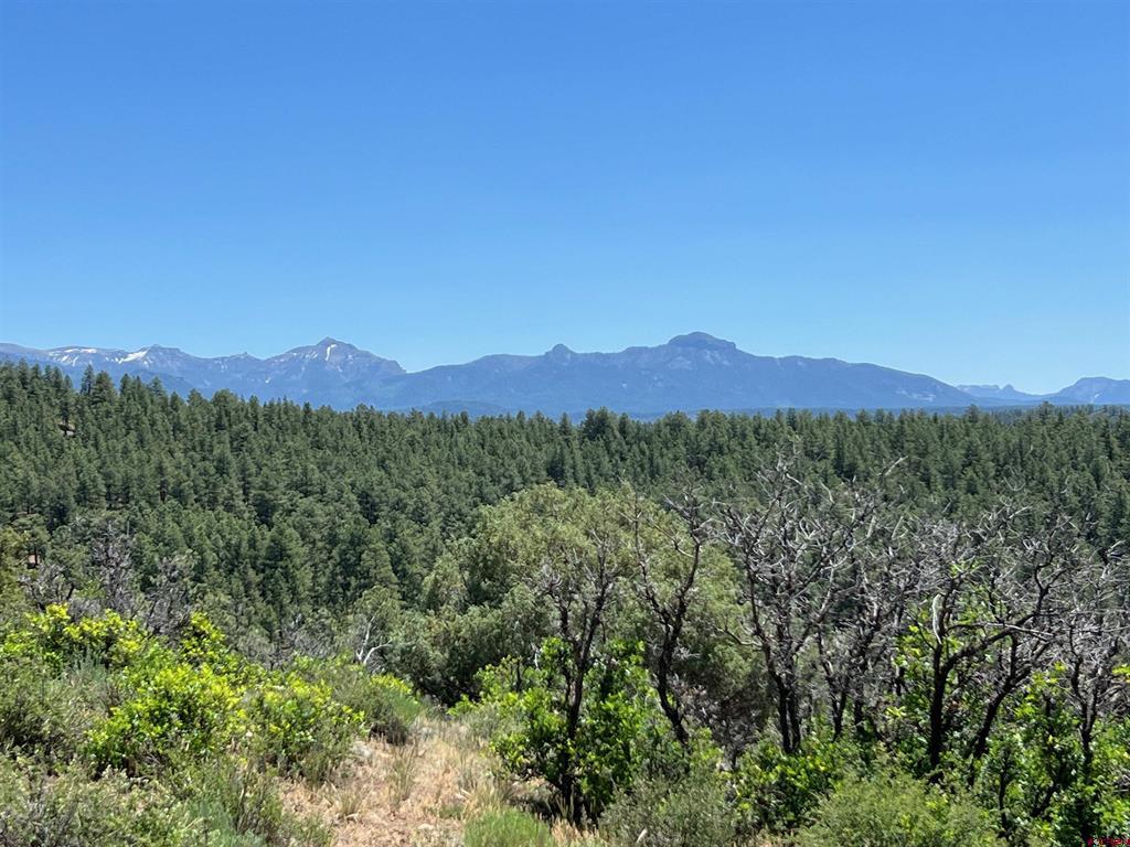 1001 County Road 200 Pagosa Springs CO 81147
