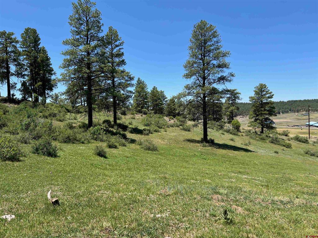 1001 County Road 200 Pagosa Springs CO 81147