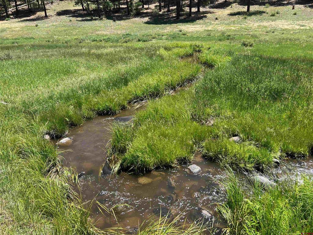 1001 County Road 200 Pagosa Springs CO 81147