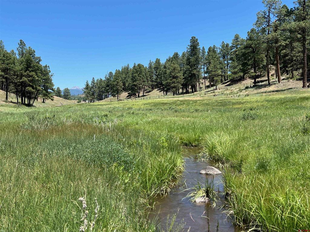 1001 County Road 200 Pagosa Springs CO 81147
