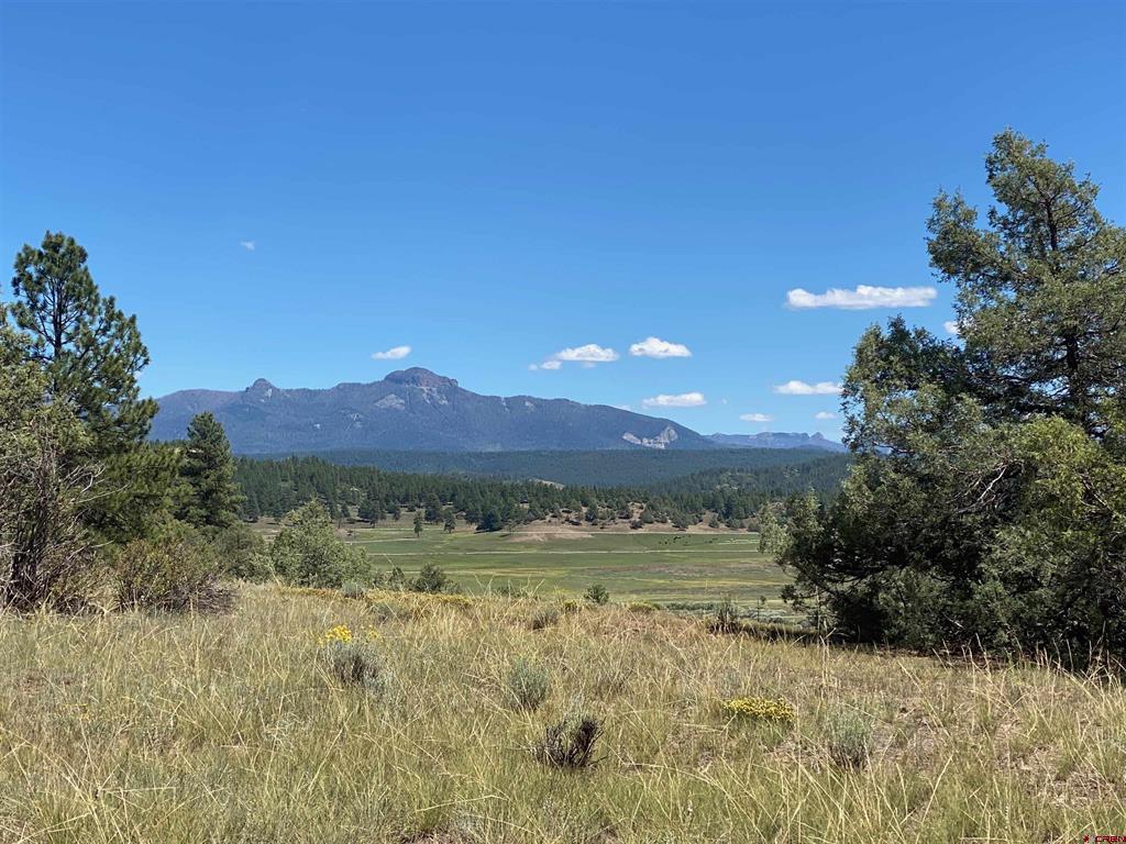 1001 County Road 200 Pagosa Springs CO 81147