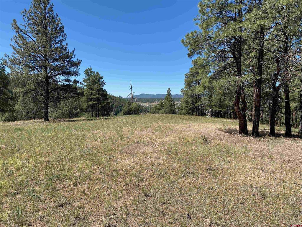 1001 County Road 200 Pagosa Springs CO 81147