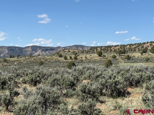 X Rockcliff Circle Pagosa Springs CO 81147