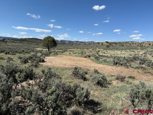 X Rockcliff Circle Pagosa Springs CO 81147