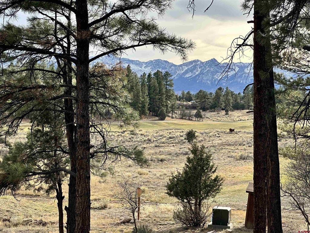 46 Marmot Court Ridgway CO 81432