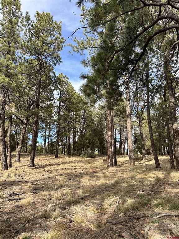 46 Marmot Court Ridgway CO 81432