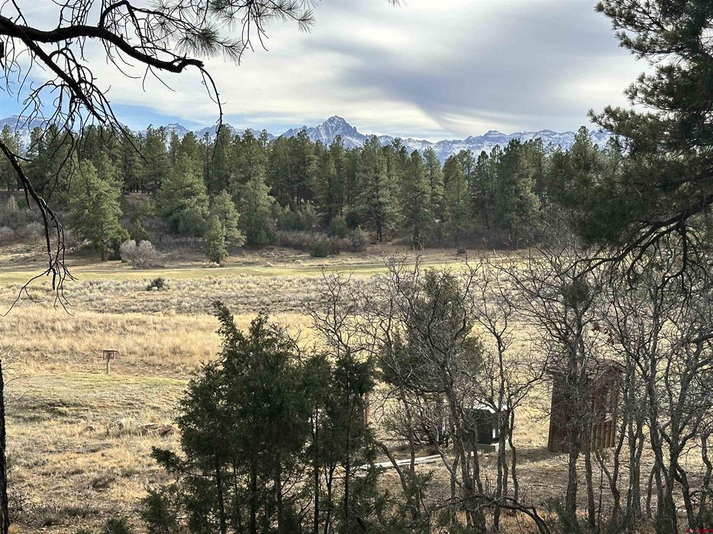 46 Marmot Court Ridgway CO 81432