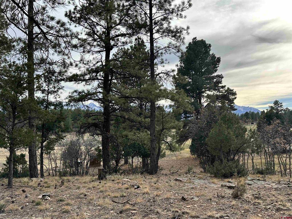 46 Marmot Court Ridgway CO 81432