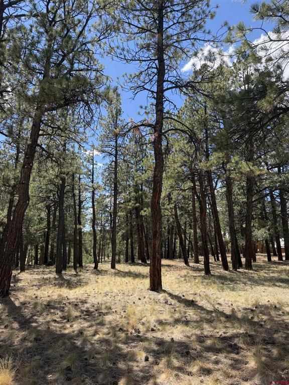 46 Marmot Court Ridgway CO 81432