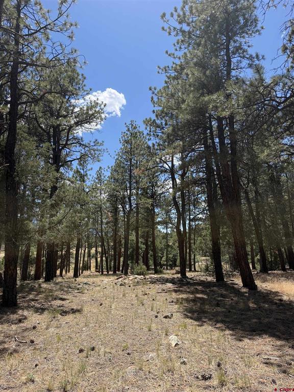 46 Marmot Court Ridgway CO 81432
