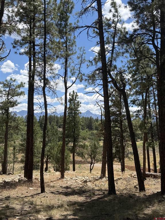 46 Marmot Court Ridgway CO 81432