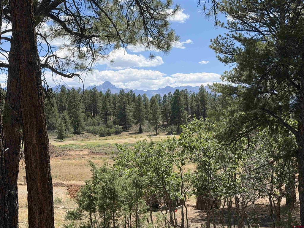 46 Marmot Court Ridgway CO 81432