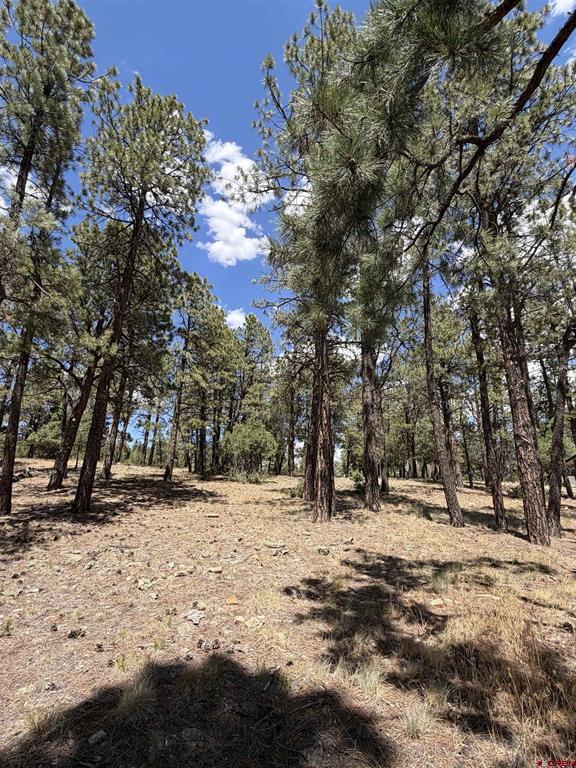 46 Marmot Court Ridgway CO 81432