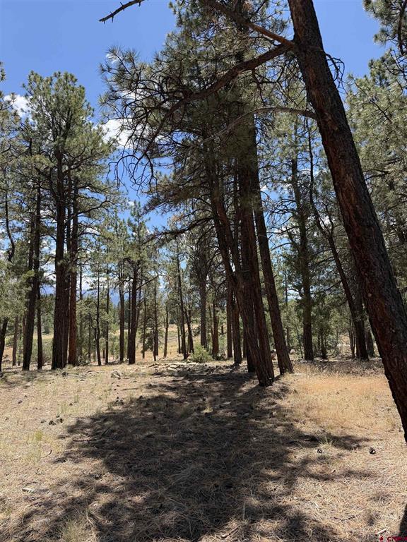 46 Marmot Court Ridgway CO 81432