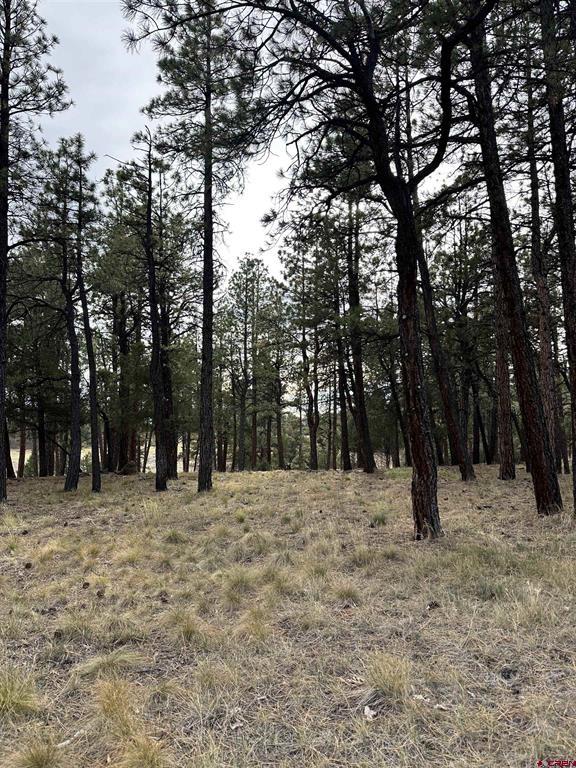 46 Marmot Court Ridgway CO 81432