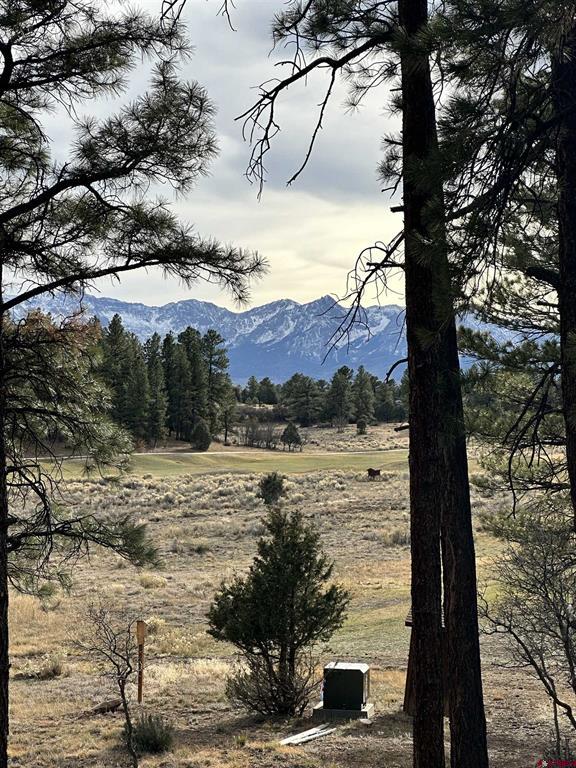 46 Marmot Court Ridgway CO 81432
