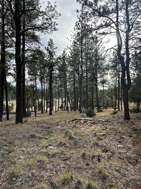 46 Marmot Court Ridgway CO 81432