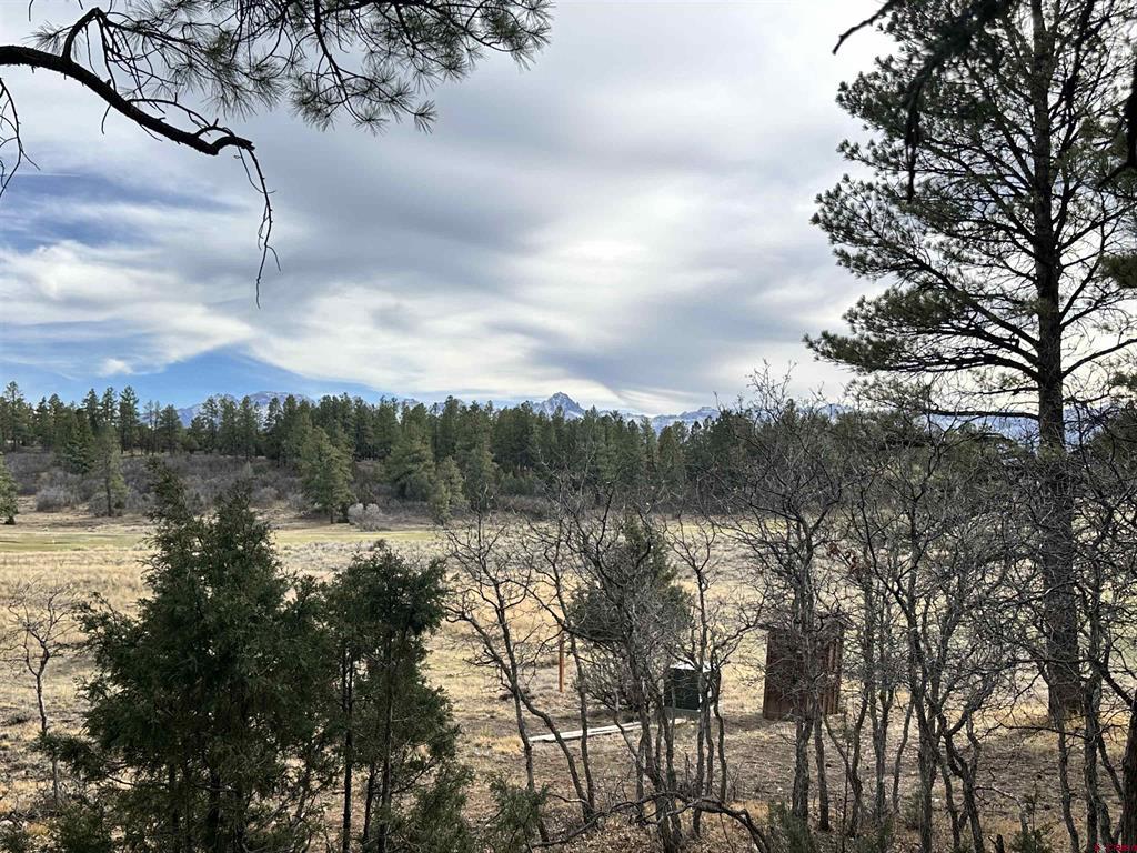 46 Marmot Court Ridgway CO 81432