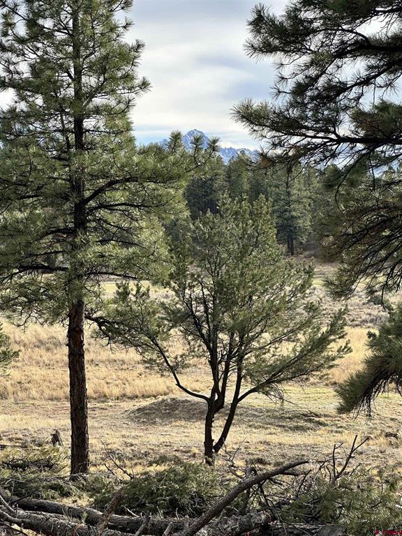 46 Marmot Court Ridgway CO 81432