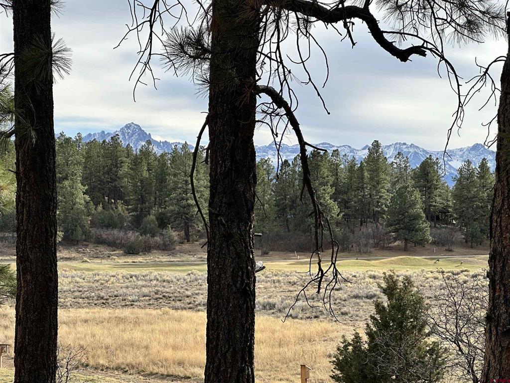 46 Marmot Court Ridgway CO 81432