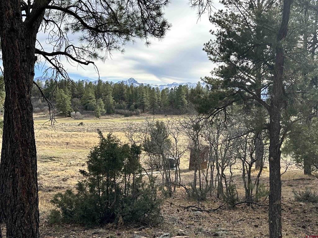 46 Marmot Court Ridgway CO 81432