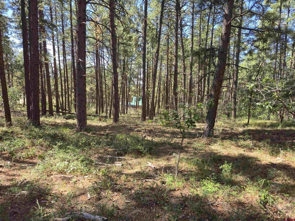 256 And 194 Blue Ridge Drive Bayfield CO 81122