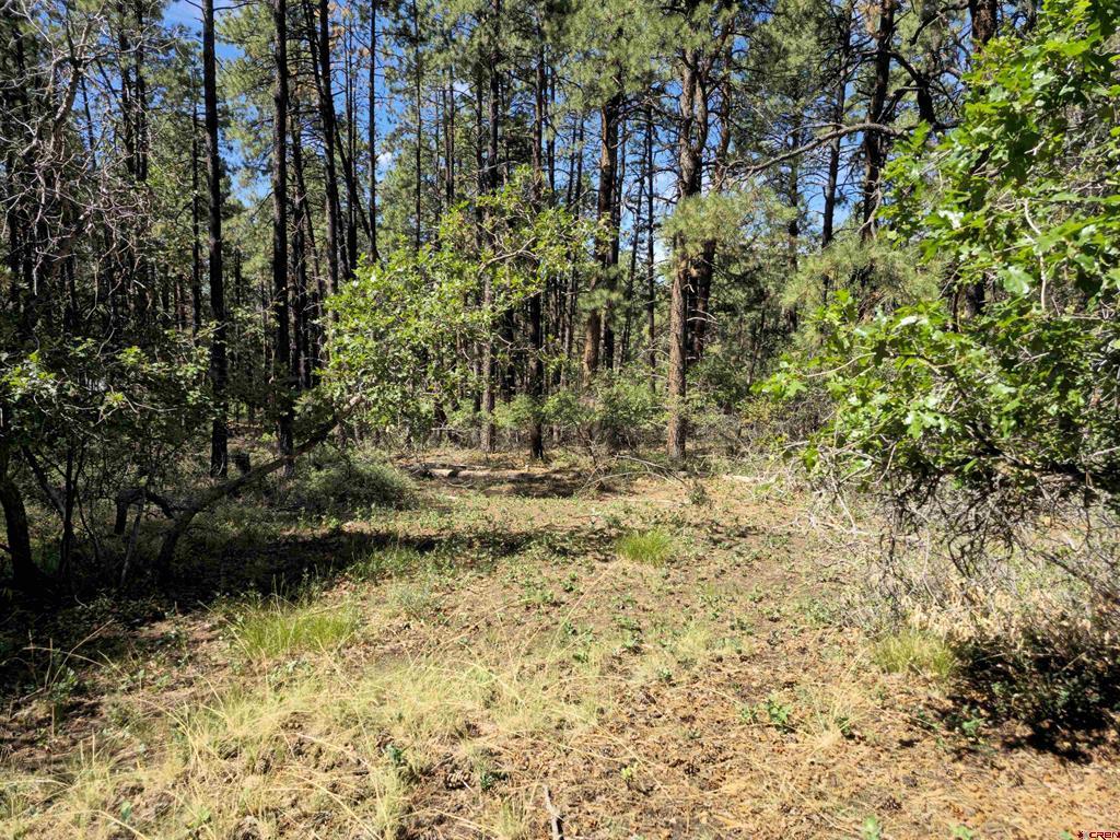 256 And 194 Blue Ridge Drive Bayfield CO 81122