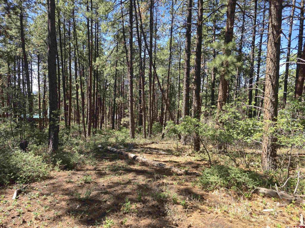 256 And 194 Blue Ridge Drive Bayfield CO 81122