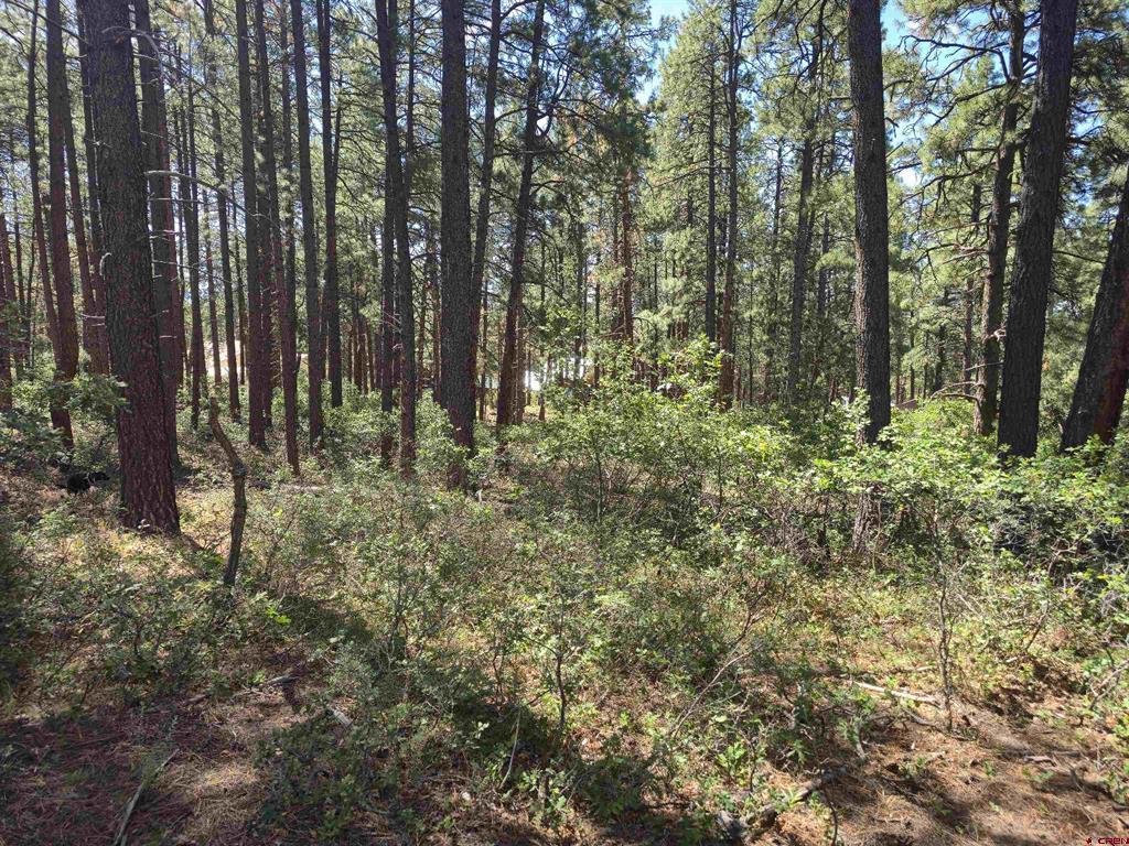 256 And 194 Blue Ridge Drive Bayfield CO 81122