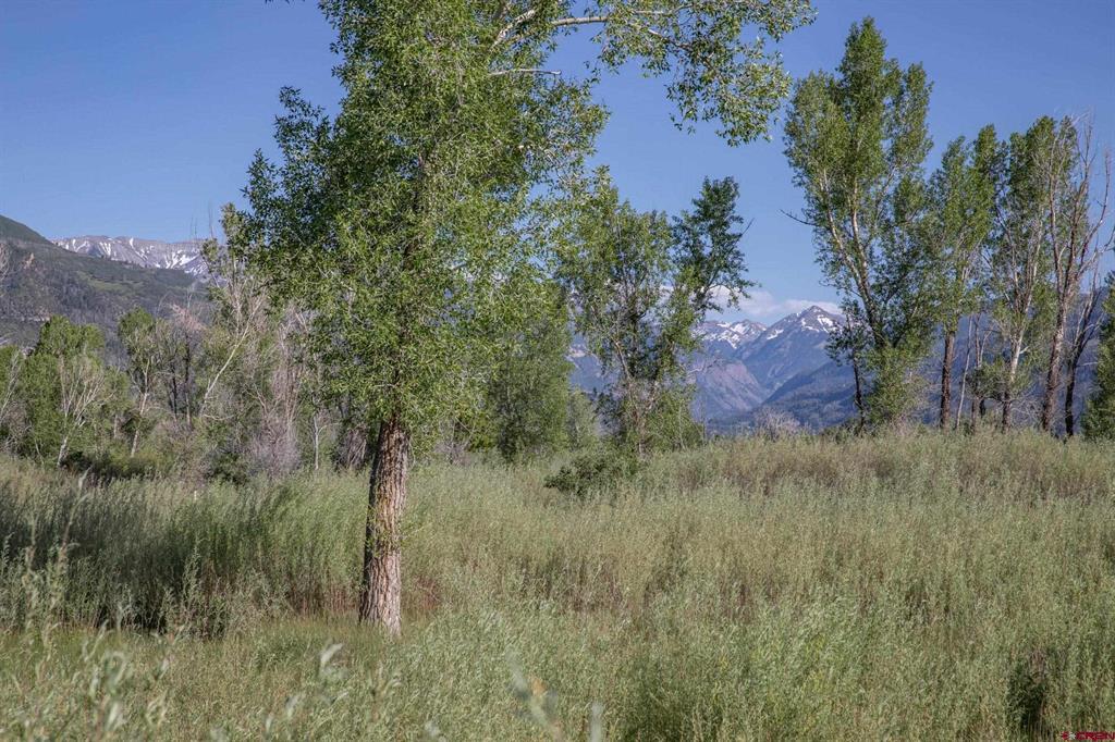Tbd 13-16 Hyde Street Ridgway CO 81432