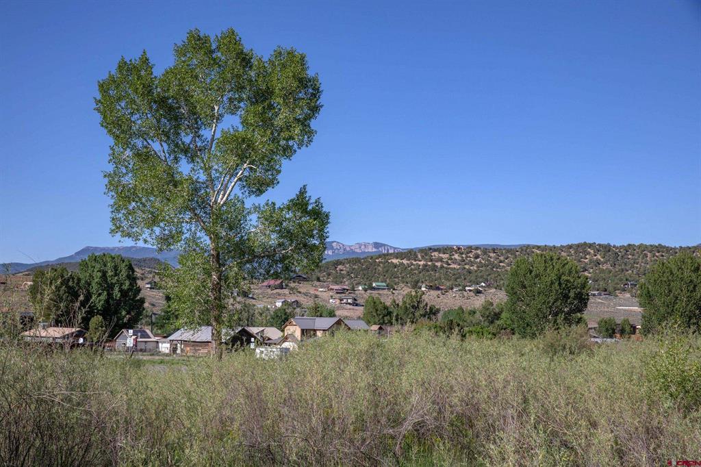 Tbd 13-16 Hyde Street Ridgway CO 81432