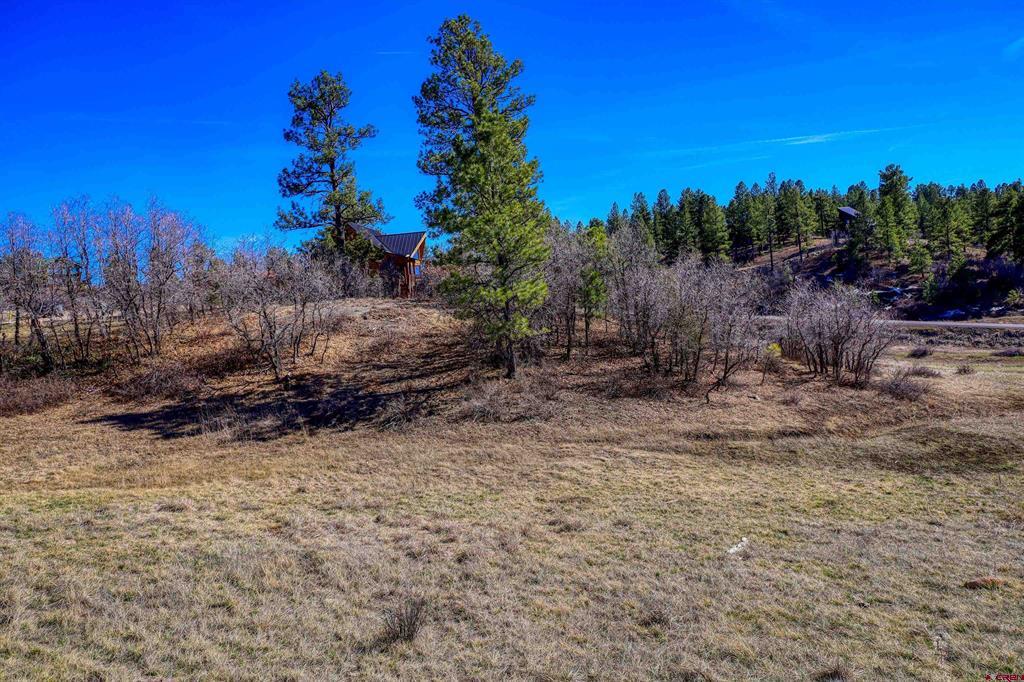 80 Poplar Court Pagosa Springs CO 81147