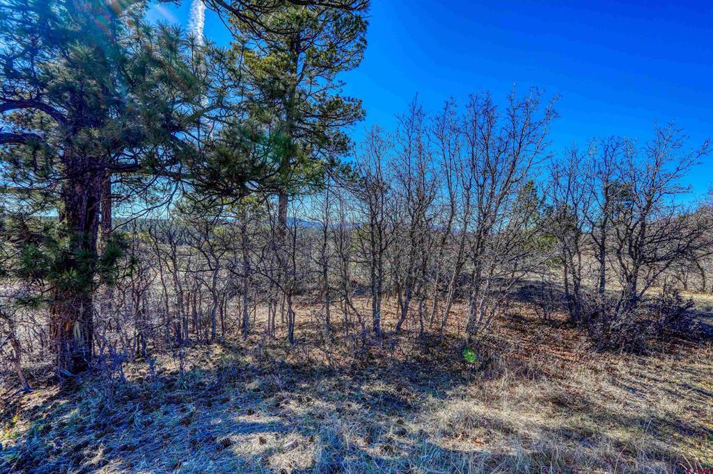 80 Poplar Court Pagosa Springs CO 81147