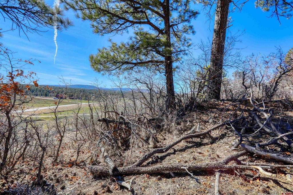 80 Poplar Court Pagosa Springs CO 81147