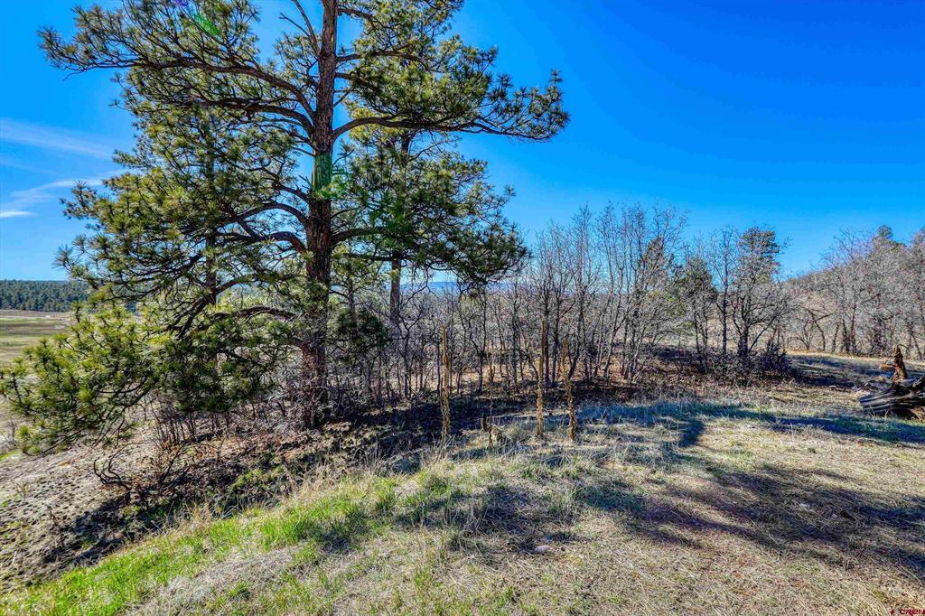 80 Poplar Court Pagosa Springs CO 81147