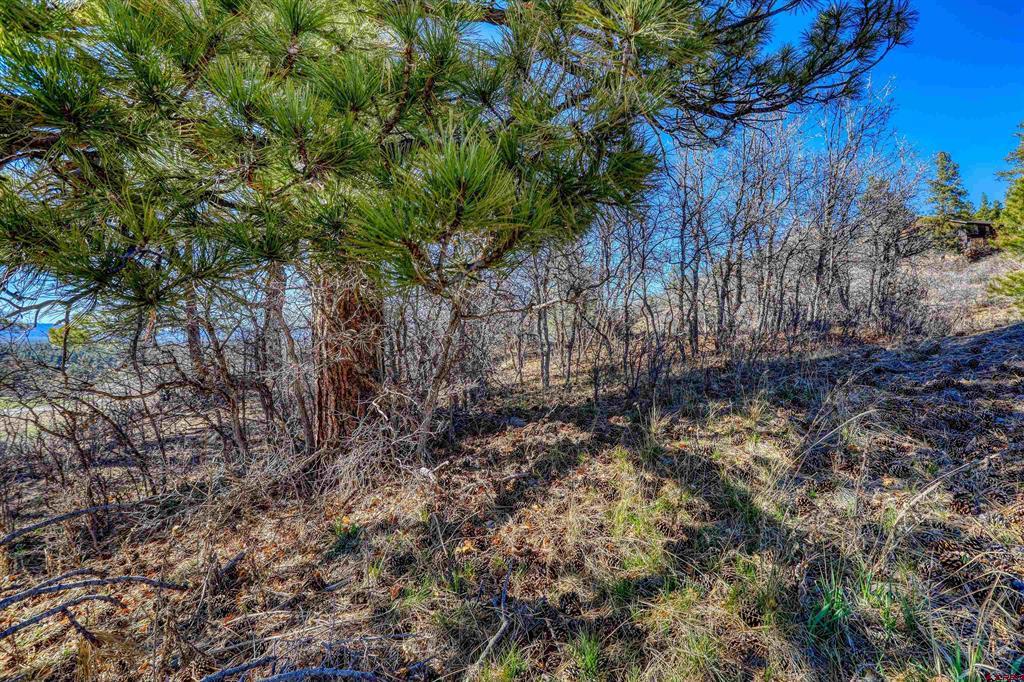 80 Poplar Court Pagosa Springs CO 81147