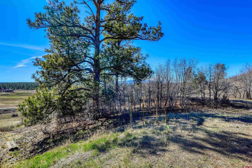 80 Poplar Court Pagosa Springs CO 81147