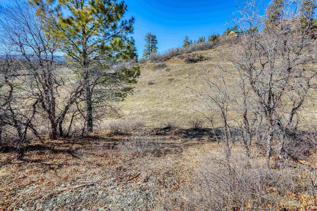80 Poplar Court Pagosa Springs CO 81147