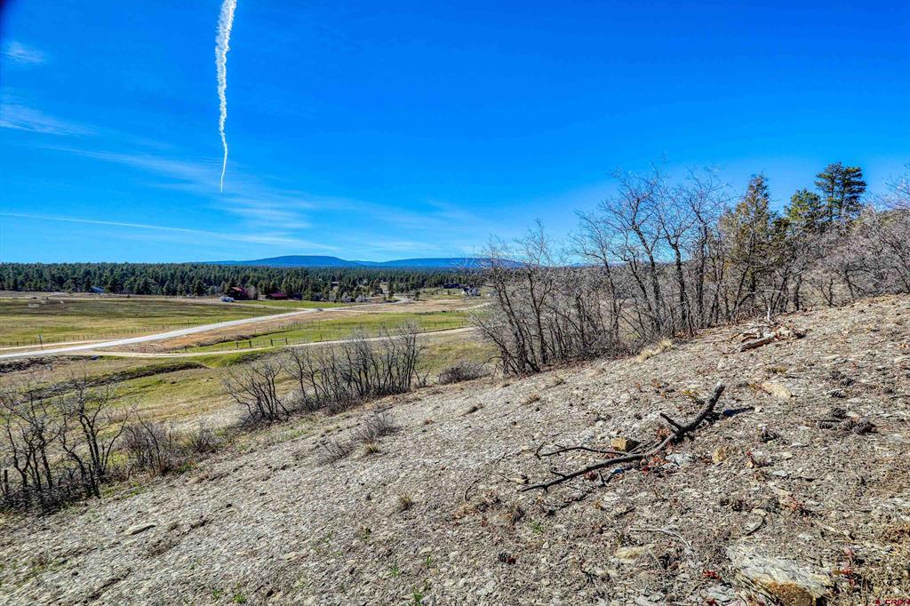 80 Poplar Court Pagosa Springs CO 81147