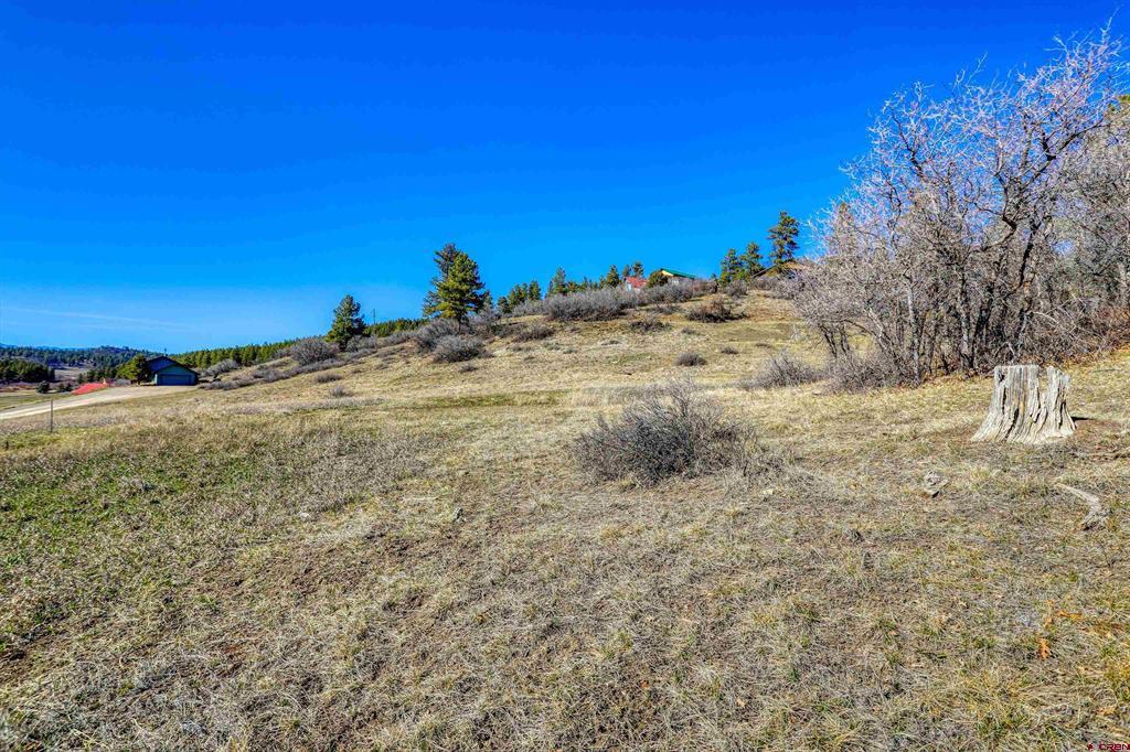 80 Poplar Court Pagosa Springs CO 81147