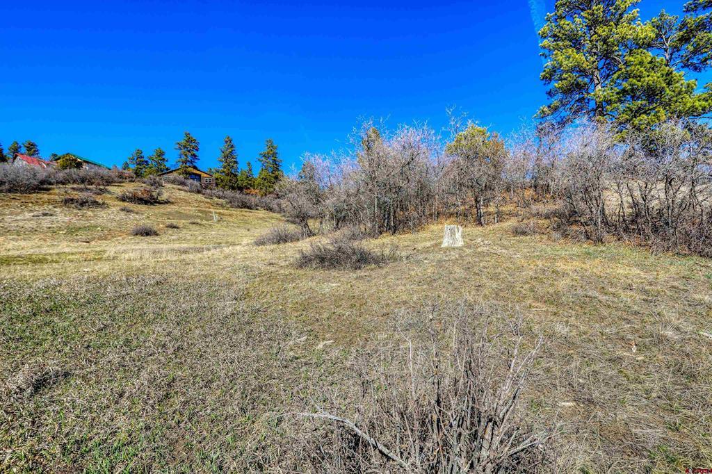 80 Poplar Court Pagosa Springs CO 81147