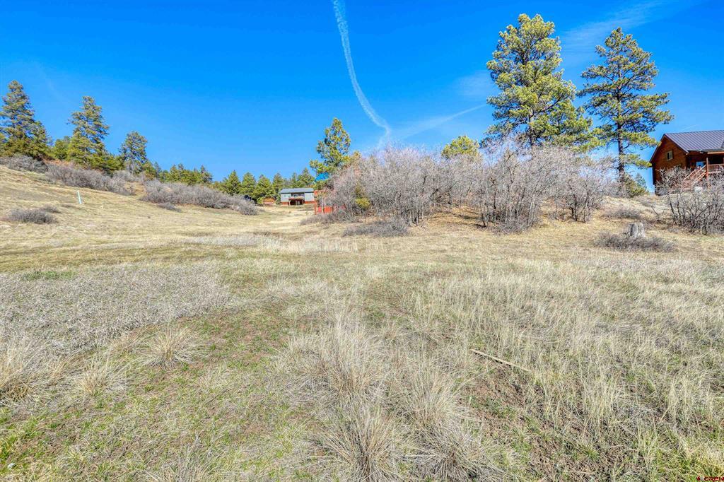 80 Poplar Court Pagosa Springs CO 81147